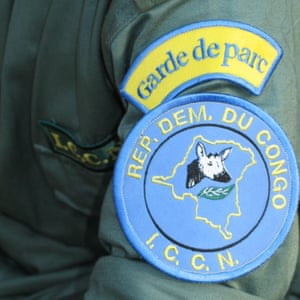 On July 14, an unidentified group of armed men attacked a group of rangers and journalists in the Okapi wildlife reserve in Bapela, killing five people