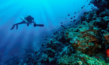 The closest humans come to being a fish': how scuba is pushing new limits, Oceans
