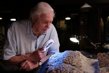 David Attenborough looking at fossilised triceratops skin.
