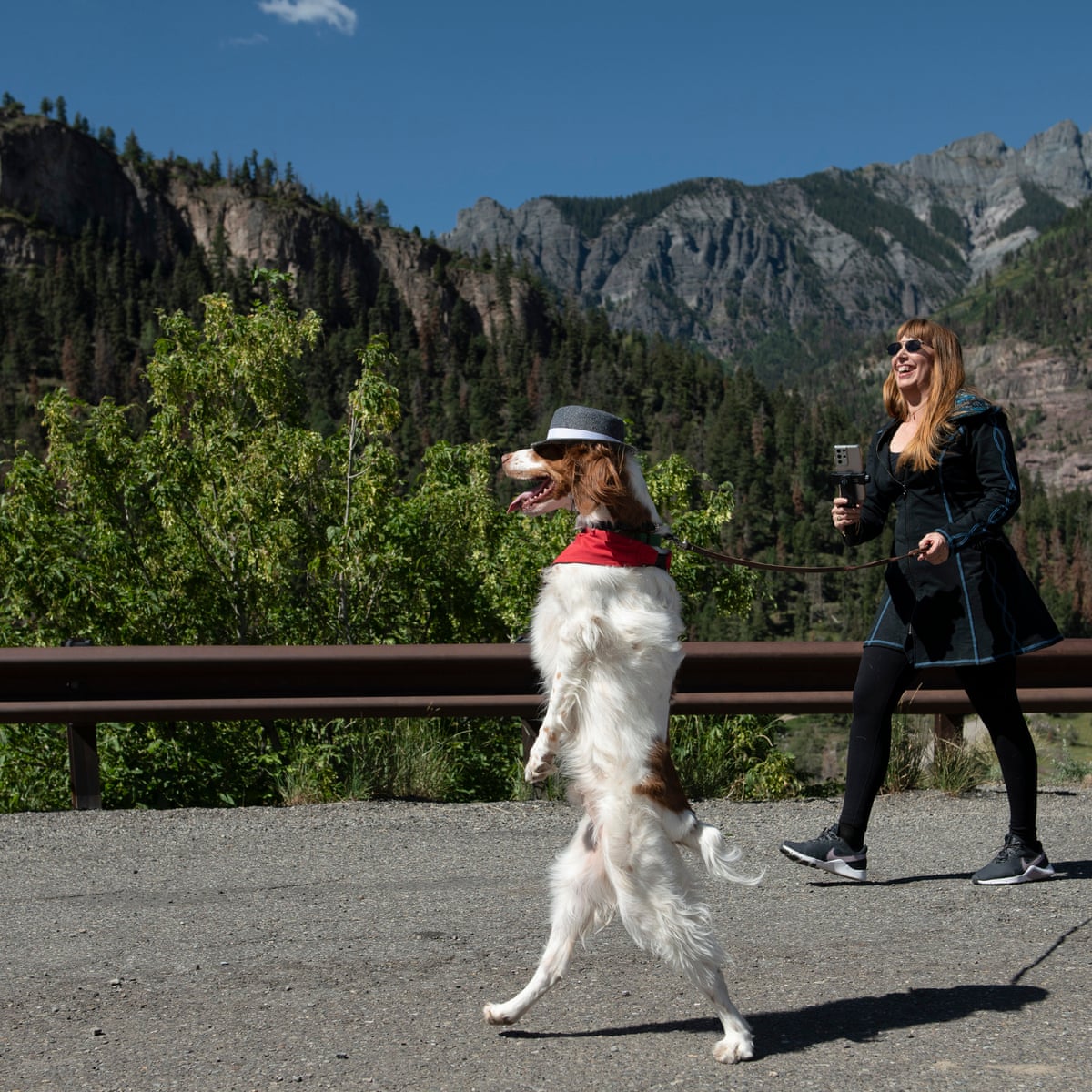 The Dog That Walks Like A Human And Other Precocious Pets We Didn T Teach Him It Was His Idea Pets The Guardian The Dog That Walks Like A Human And Other Precocious Pets We Didn T Teach Him It Was His Idea Pets The Guardian