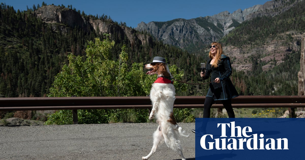 The dog that walks like a human – and other precocious pets: ‘We didn’t teach hi..