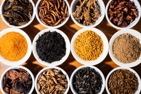 Meaty, cheesy, coconutty: a chef’s quest to prove insects taste ...