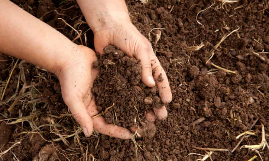 The soil at regenerative farm, Huxhams Cross. It took two years to restore the soil biome at the farm through regenerative methods.