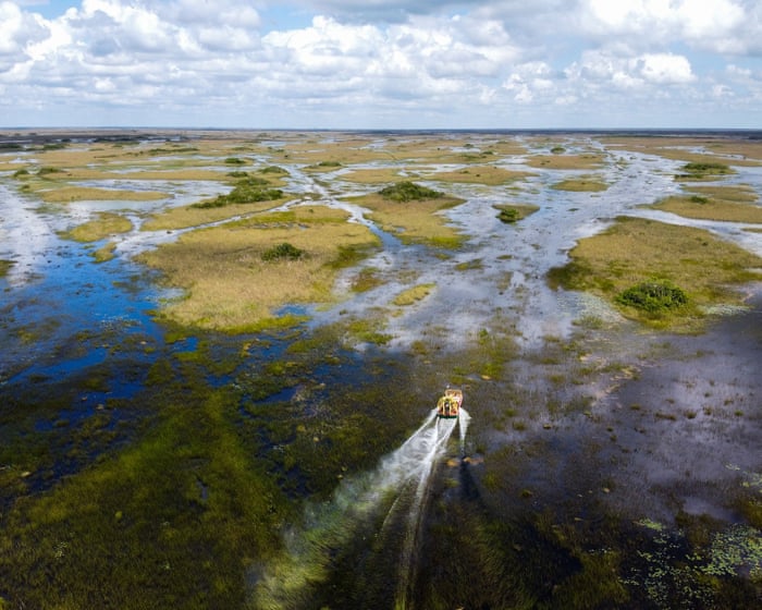 ‘Contract that never was’ adds twist to scientist’s fight over Everglades project