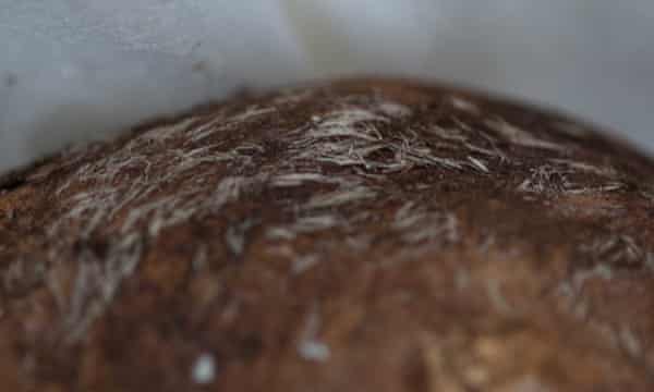 Détail des cheveux blancs