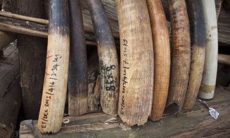 A haul of elephant tusks and ivory items was burned in 2015 to deter poachers in Ethiopia, but success has been limited.