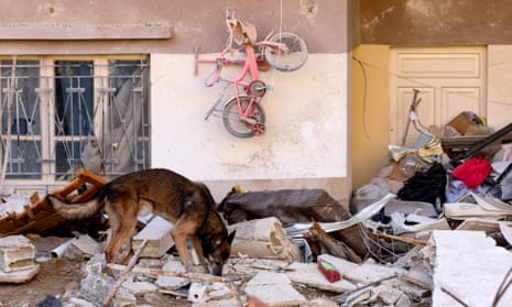 A rescue dog searches for the missing and survivors, in the regime-controlled town of Jableh in the province of Latakia.