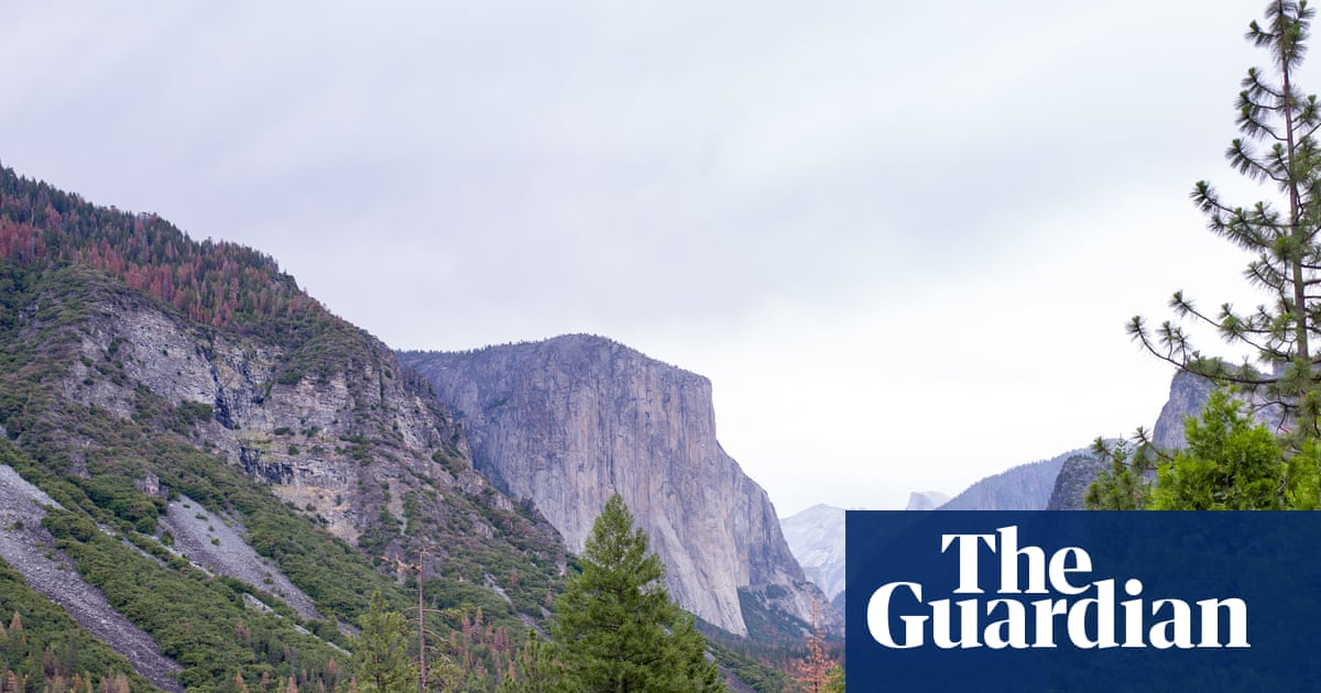 Emerging climbing star Balin Miller, 23, dies in fall from El Capitan