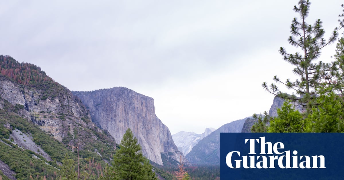 Scott Socha, contemplating which national wonder to rebrand first: "Grand Canyon™ by Delaware North" or "Yellowstone® Presented by ExxonMobil".