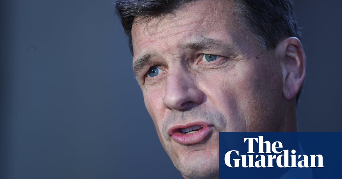 Angus Taylor won't rule out reversing nuclear energy ban if business case stacks up