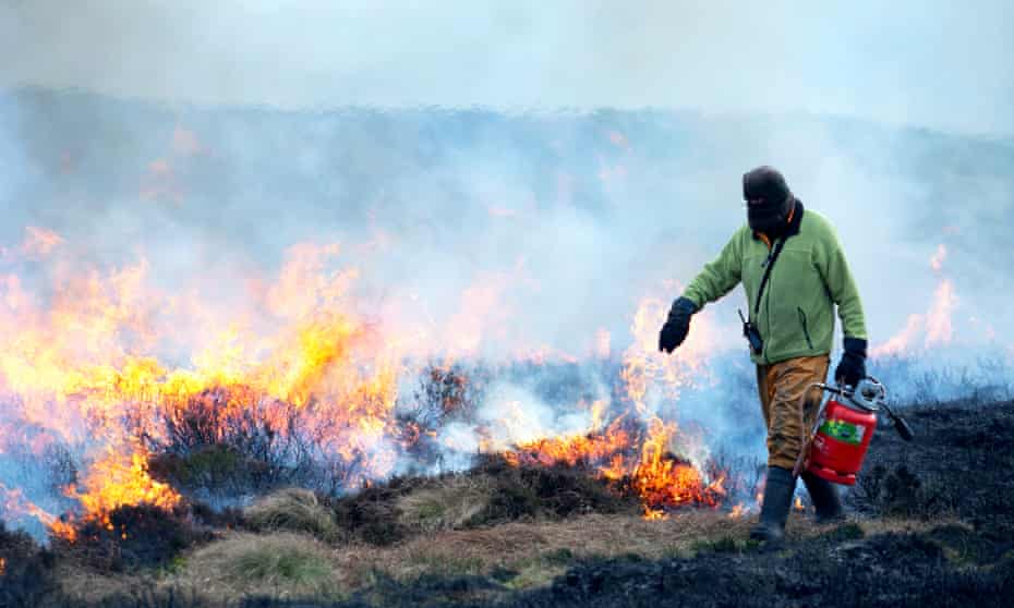 A gamekeeper burning peatland in West Yorkshire in March.