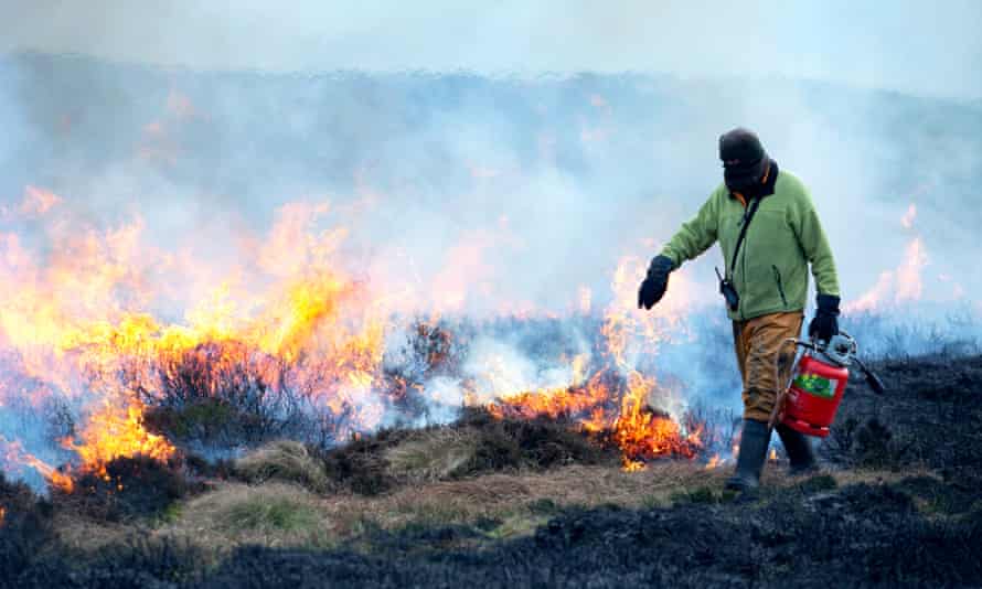A Gamekeeper carrying a Weed Wand which blasts the heather with intensive heat during a burn on Bingley Moor in West Yorkshire.