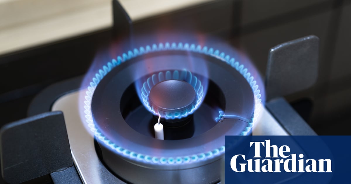 Ban on new gas connections will help transition Victoria away from fossil fuels, inquiry finds