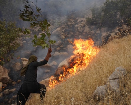 A man beats the flames of a wildfire with the branch of a tree.