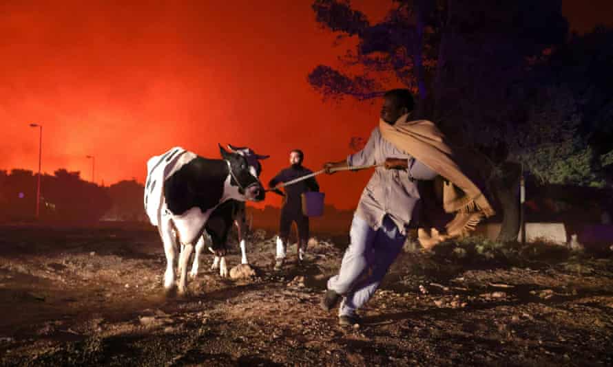 Locals fleeing with their animals as a wildfire rages in a suburb north of Athens.