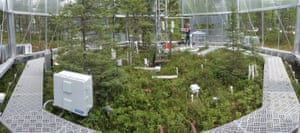 Inside a climate controlled chamber where the Spruce research project is looking at the impact of global warming on bogs and their carbon stores