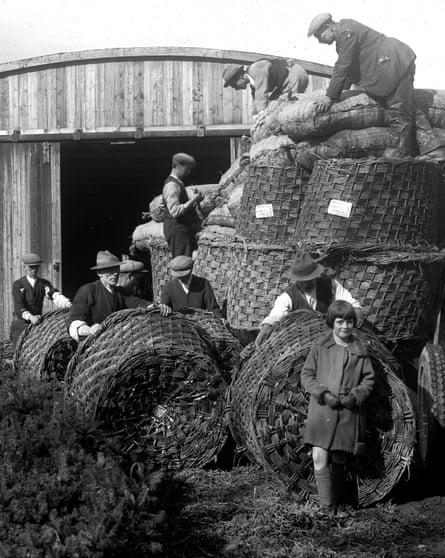 Men load sacks of produce on to a trailer