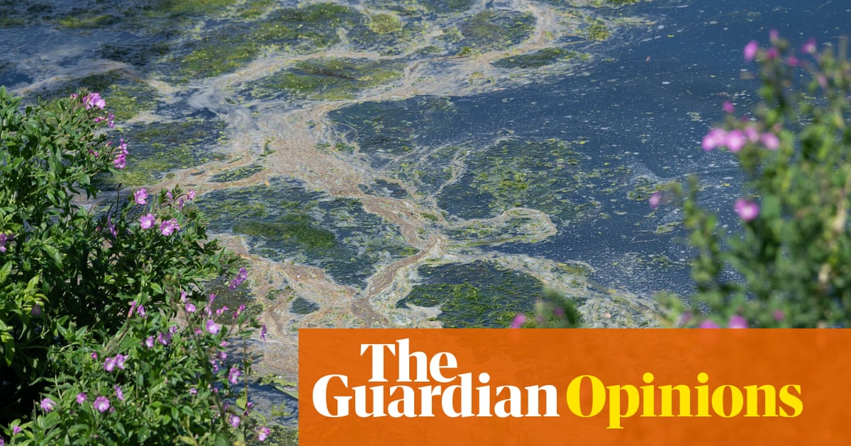 England’s water industry now represents the unacceptable face of capitalism | Simon Jenkins