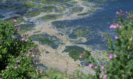 Pollution on the Jubilee River.