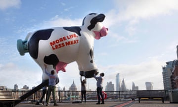 An inflatable cow rises above London as part of a campaign to raise awareness that eating less meat means less methane.