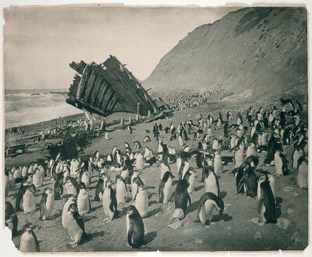 Wreck of the Gratitude, Macquarie Island, 1911.