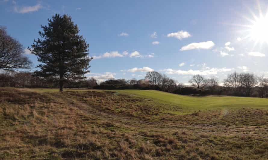 Wimbledon earthworks