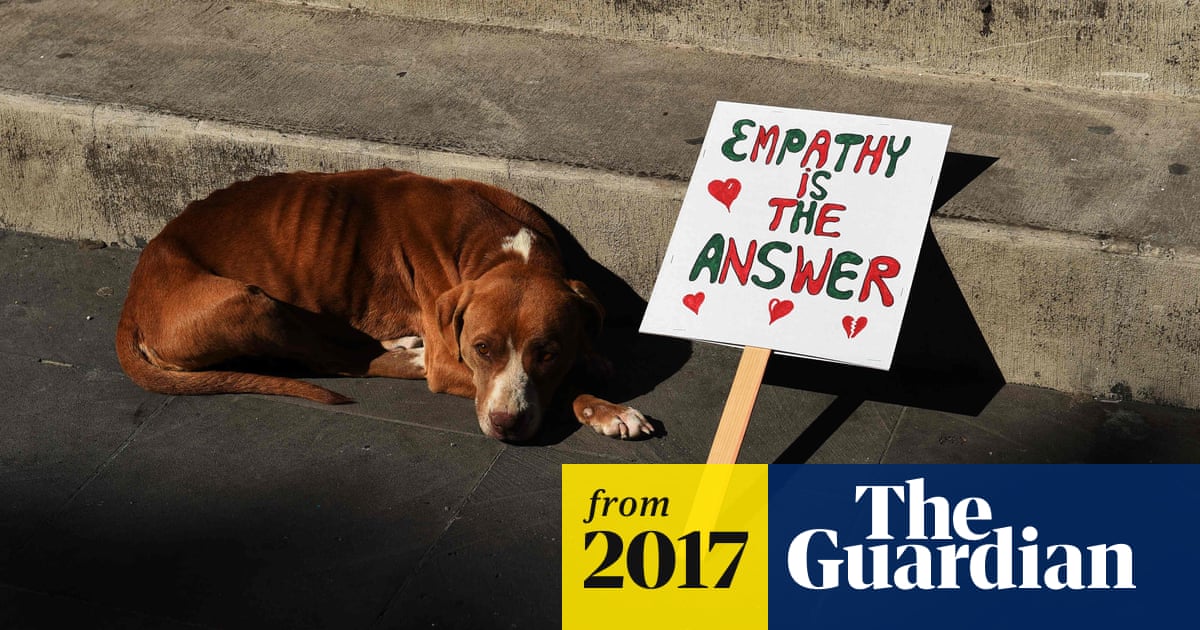 Out fur a cause: dogs add bark to Women's March against Donald Trump