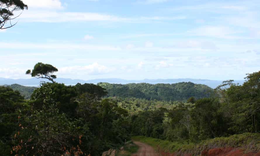 The mountain half of the Natoavatu Estate in Fiji is mostly impenetrable jungle and is not used for cultivation.