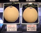 Australia has been galvanised by ‘melon-gate’. So what is the luxury fruit at the centre of the PM’s controversy?