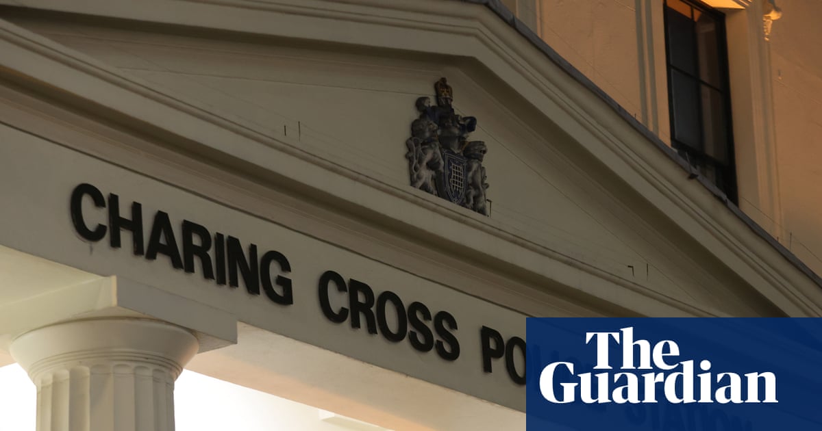 Nine Met police suspended amid inquiry into claims of excessive force