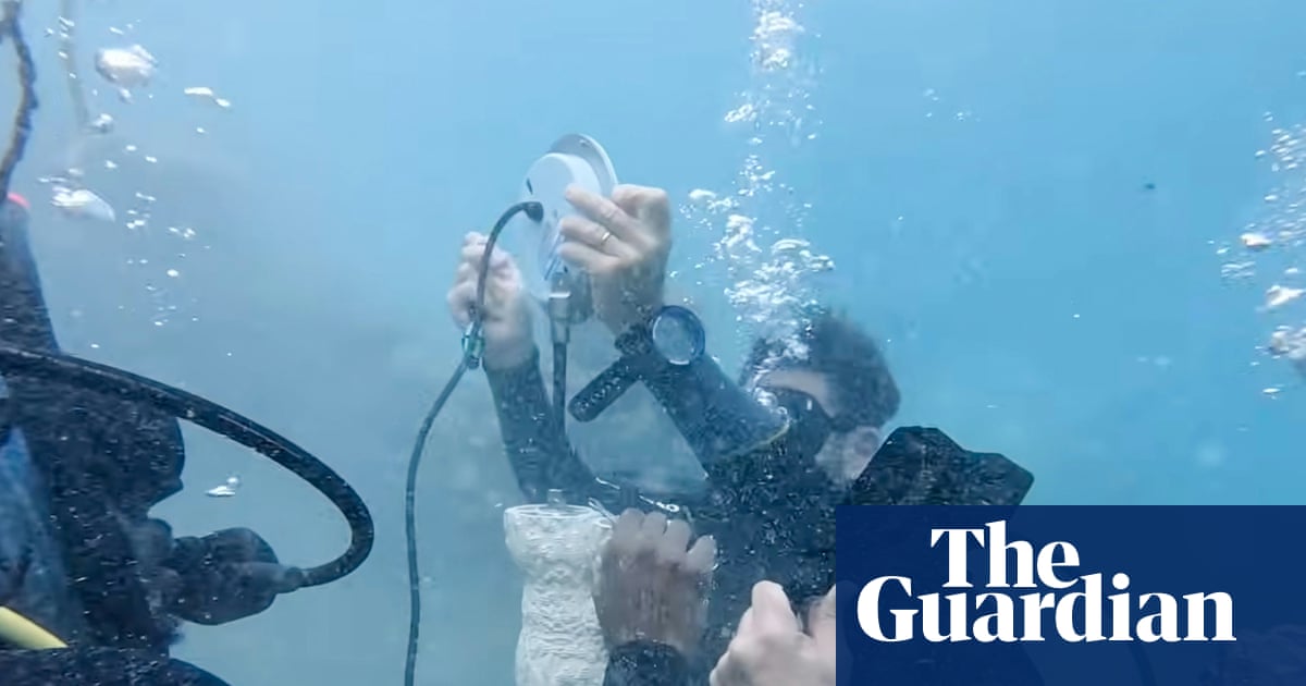 Italian Artist Deploys Underwater Speakers to Revive Jamaica’s Coral Reefs with Sound