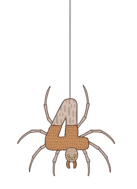 An illustration of a spider hanging from a thread, its body in the shape of a number 4.