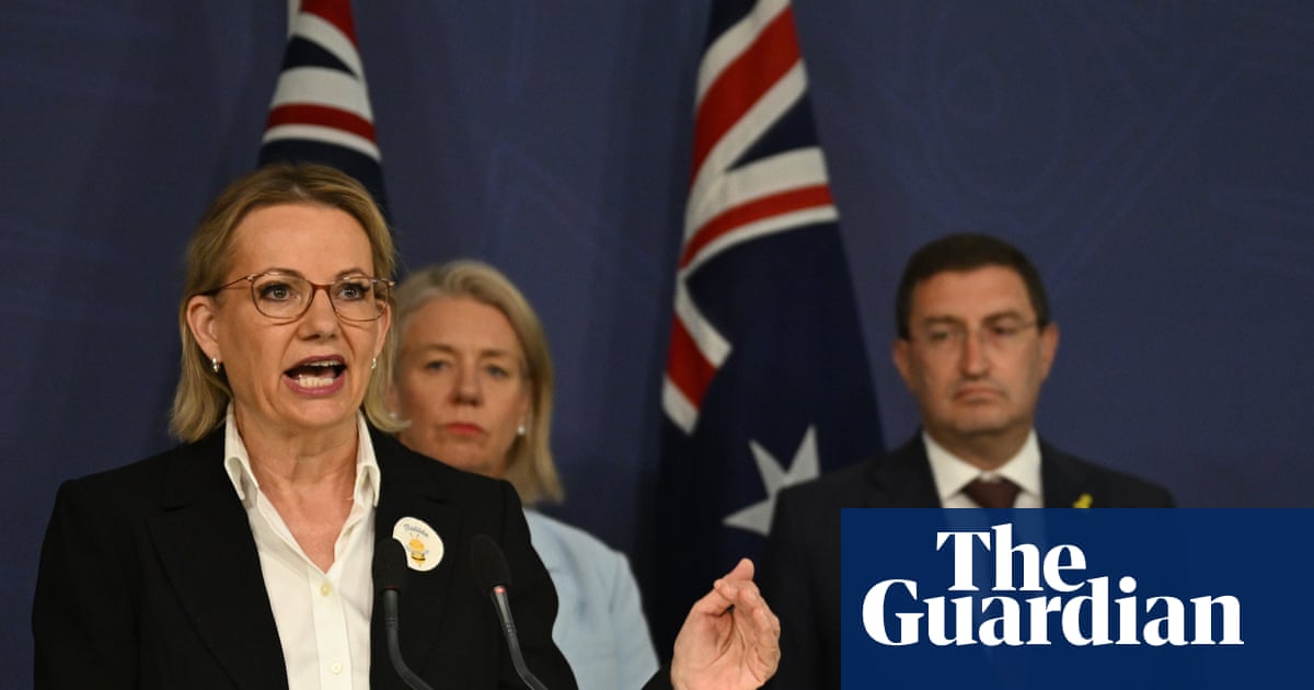 Coalition attacks Penny Wong for not shedding ‘a single tear’ after Bondi shooting, says ‘multicultural nirvana’ has failed