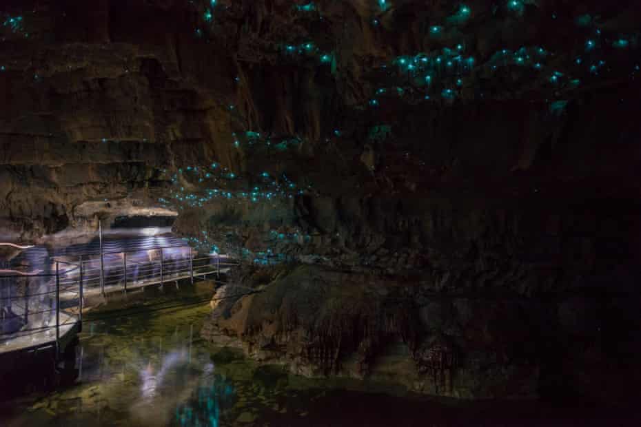 Vers luisants dans les grottes de Waitomo sur l'île du Nord de la Nouvelle-Zélande.