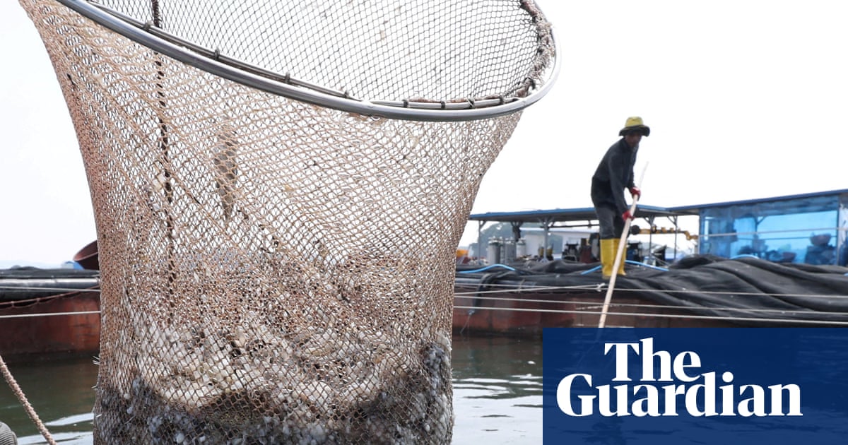 Grinding up fish to feed to fish is ‘absurd’: fears over UN fish farm plan