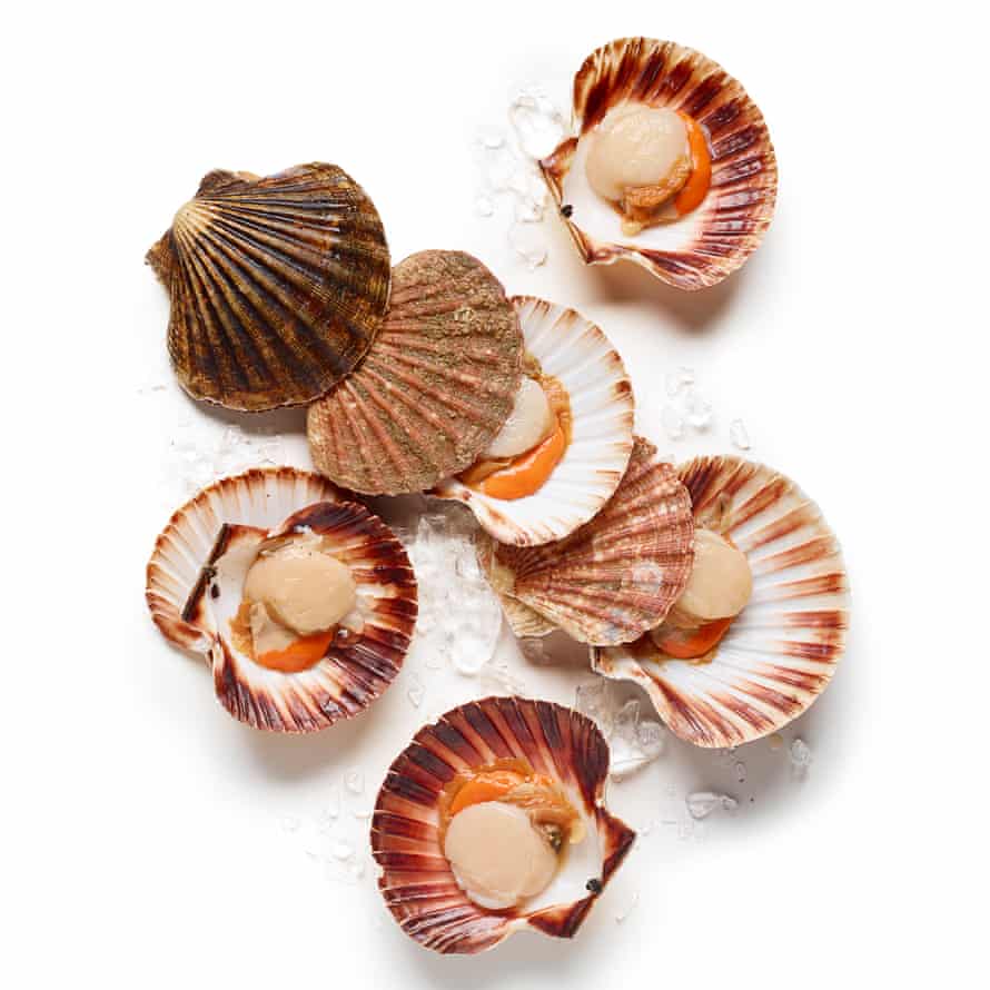 How To Cook The Perfect Coquilles St Jacques Food The Guardian How To Cook The Perfect Coquilles St Jacques Food The Guardian