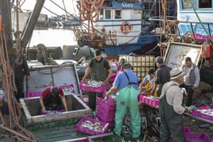 Fishermen transport their catch after docking in the main port in Dakhla