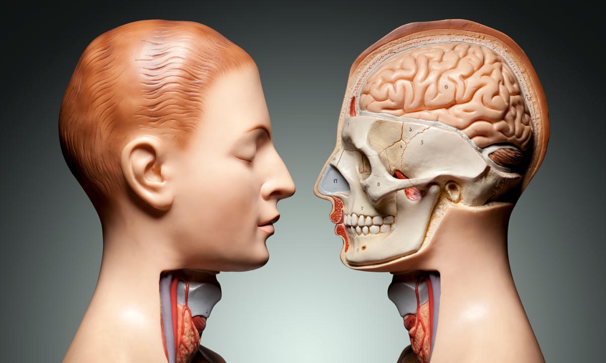 University subject profile: anatomy and physiology | University guide | The  Guardian