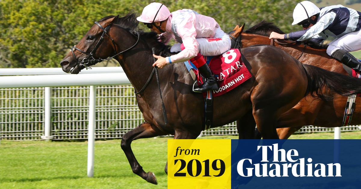 Too Darn Hot Suffers Career Ending Leg Injury At Goodwood Horse Racing The Guardian Too Darn Hot Suffers Career Ending Leg Injury At Goodwood Horse Racing The Guardian