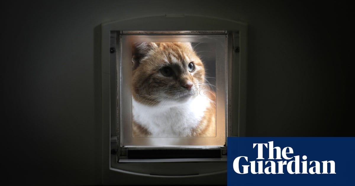 22 Best Gifts For Cat Lovers And Cats Beds Scratching Posts