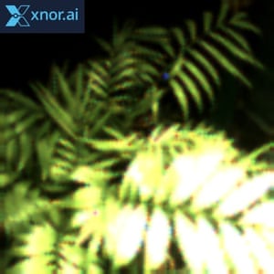 Selfie de Pete the fern