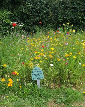 Flowers in Totnes