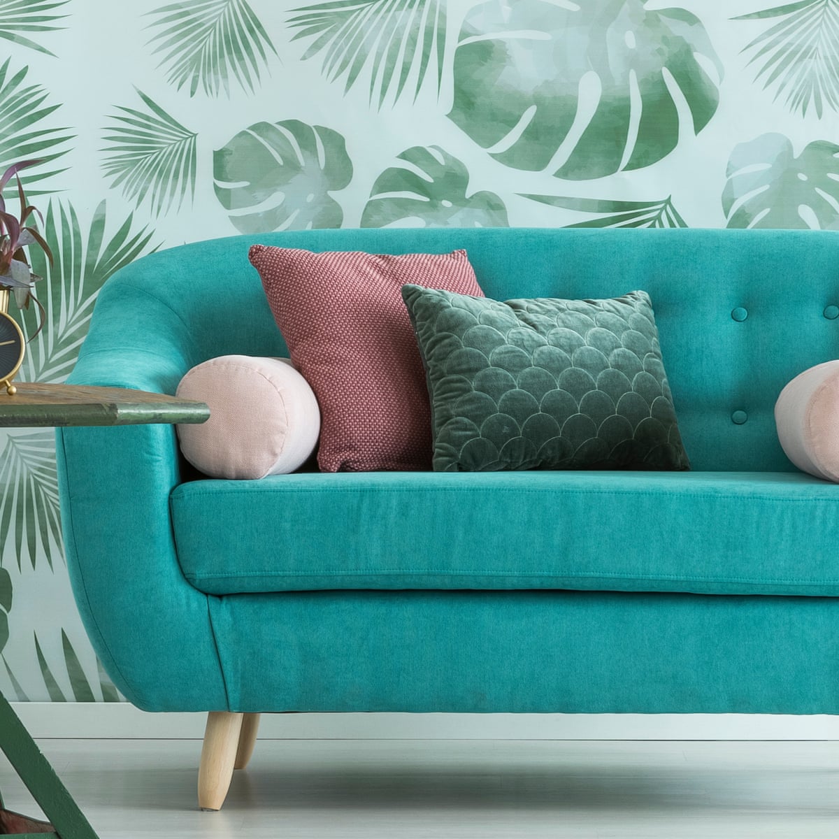 Bored of your four walls? Let me share my pro tip: get some wild wallpaper | Hadley Freeman | The Guardian Bored of your four walls? Let me share my pro tip: get some wild wallpaper | Hadley Freeman | The Guardian