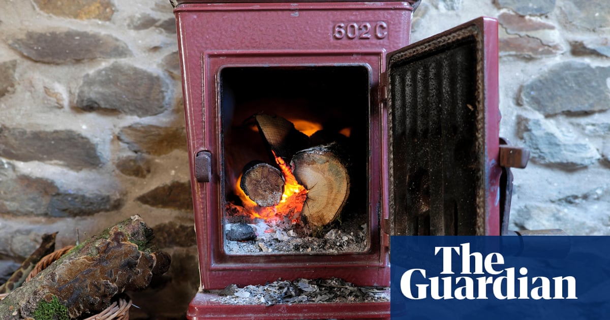 ‘A serious threat’: calls grow for urgent review of damage done by wood burning stoves