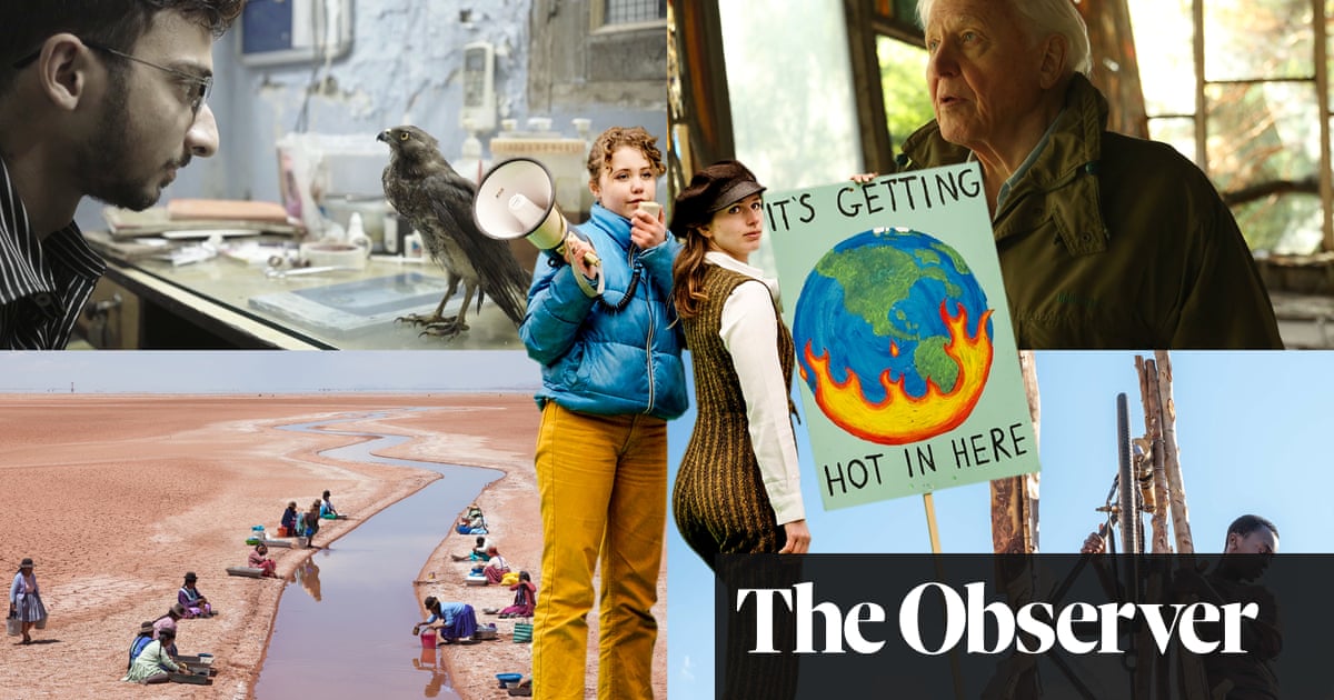 Emergency viewing: 15 must-see films about the climate crisis