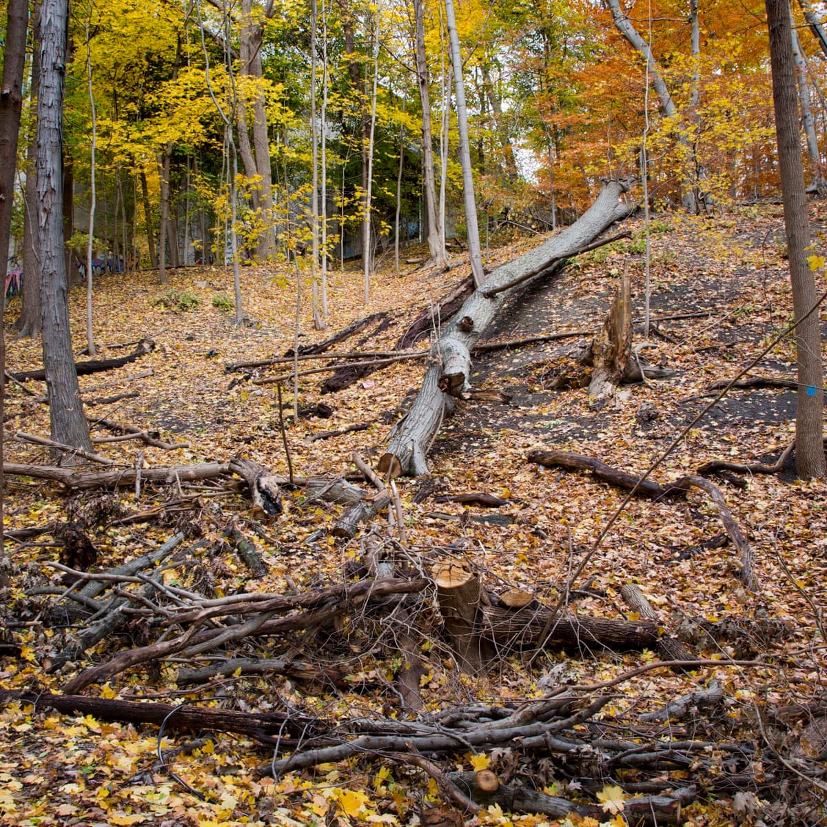 There S No Major City Like It Toronto S Unique Ravine System