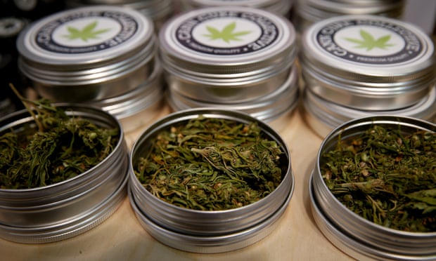 Cans containing cannabis buds