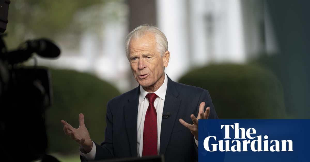 Trump adviser Peter Navarro says we're great' after Elon Musk calls him moron'
