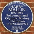 A blue plaque in honour of Harry Mallin