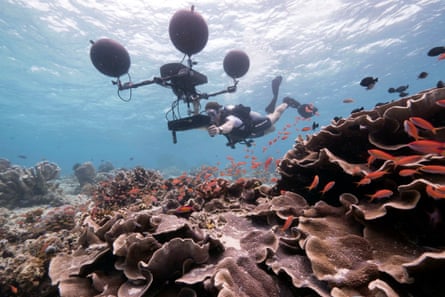 “Three weeks in we were ready to give up’ … a scientist using a hydrophone to record sounds of the reef.
